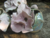 Vase floral fleur églantine petit format